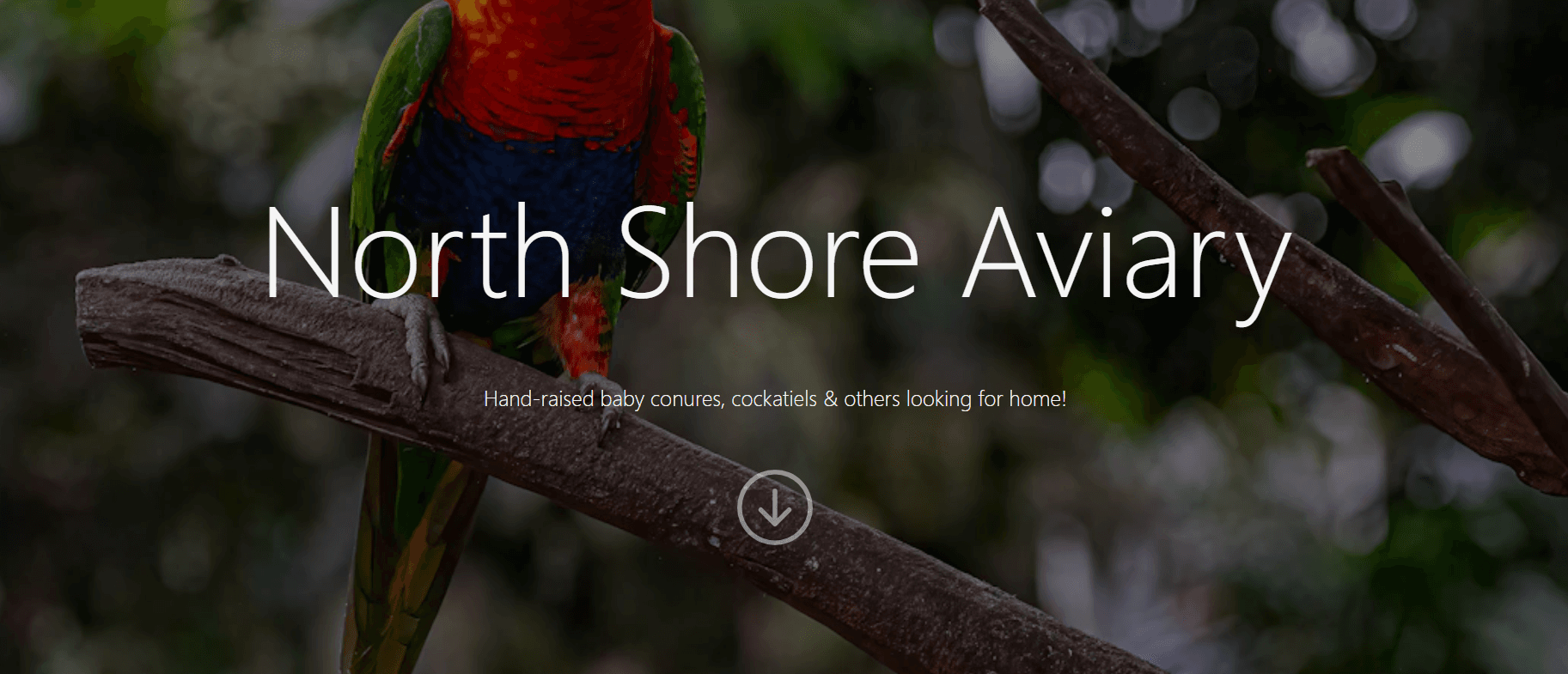 Northshore Aviary, screenshot